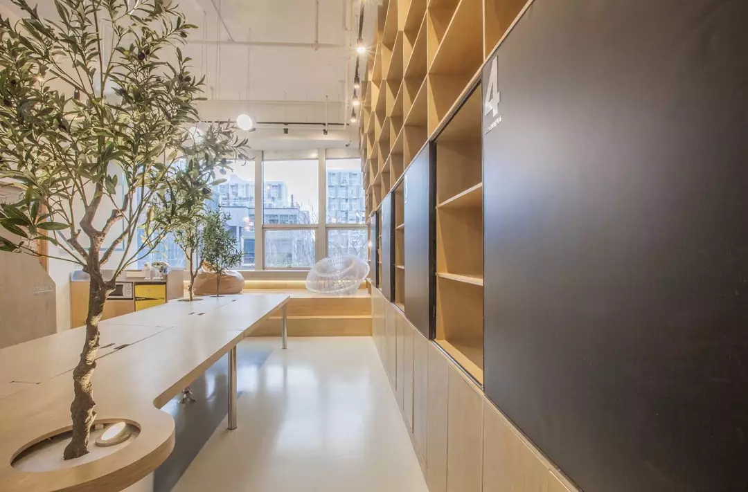 牛在墻上飛，猴子樹梢醉；這是在動物園辦公嗎？